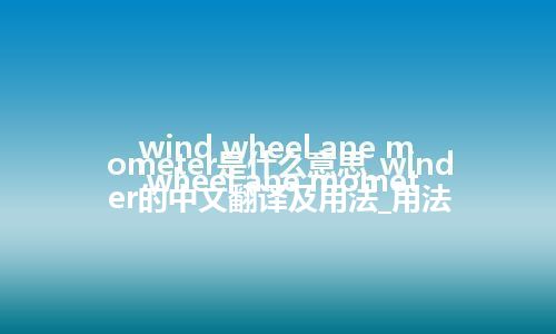 wind wheel ane mometer是什么意思_wind wheel ane mometer的中文翻译及用法_用法