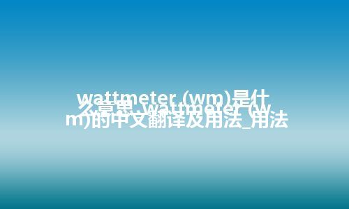 wattmeter (wm)是什么意思_wattmeter (wm)的中文翻译及用法_用法