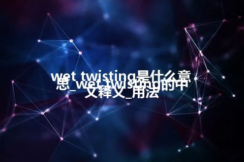wet twisting是什么意思_wet twisting的中文释义_用法