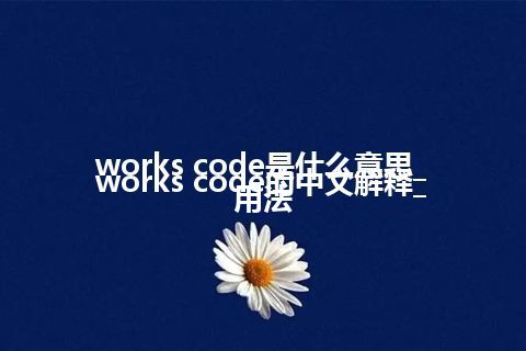 works code是什么意思_works code的中文解释_用法