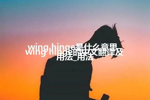 wing hinge是什么意思_wing hinge的中文翻译及用法_用法