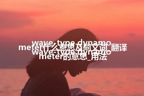 wave-type dynamometer什么意思及同义词_翻译wave-type dynamometer的意思_用法