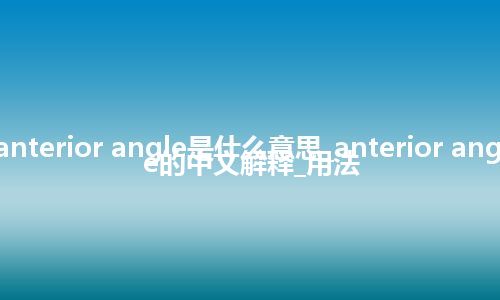 anterior angle是什么意思_anterior angle的中文解释_用法