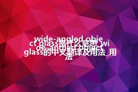 wide-angled object glass是什么意思_wide-angled object glass的中文翻译及用法_用法