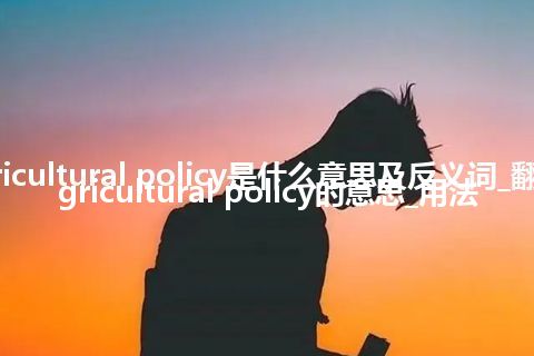 agricultural policy是什么意思及反义词_翻译agricultural policy的意思_用法