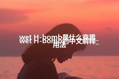 wet H-bomb是什么意思_wet H-bomb的中文解释_用法