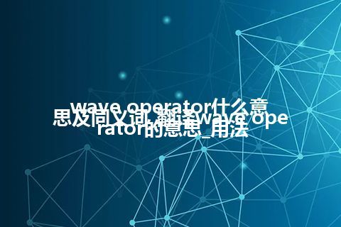 wave operator什么意思及同义词_翻译wave operator的意思_用法