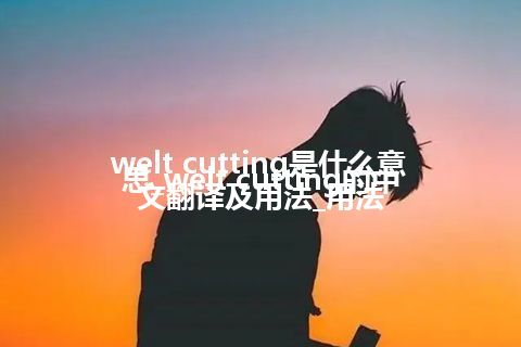 welt cutting是什么意思_welt cutting的中文翻译及用法_用法