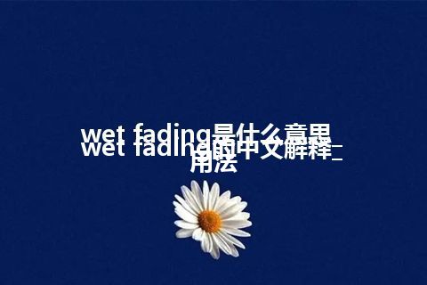 wet fading是什么意思_wet fading的中文解释_用法