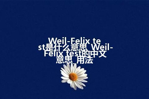 Weil-Felix test是什么意思_Weil-Felix test的中文意思_用法