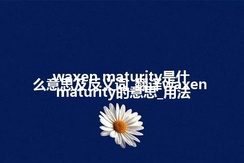 waxen maturity是什么意思及反义词_翻译waxen maturity的意思_用法