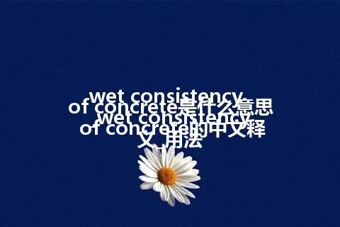 wet consistency of concrete是什么意思_wet consistency of concrete的中文释义_用法