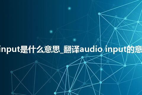 audio input是什么意思_翻译audio input的意思_用法