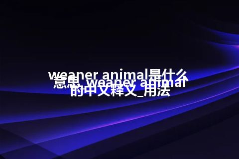 weaner animal是什么意思_weaner animal的中文释义_用法