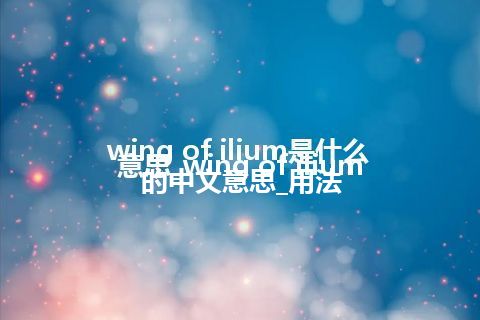 wing of ilium是什么意思_wing of ilium的中文意思_用法