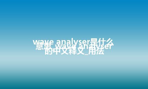 wave analyser是什么意思_wave analyser的中文释义_用法