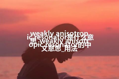 weakly anisotropic resonator是什么意思_weakly anisotropic resonator的中文意思_用法