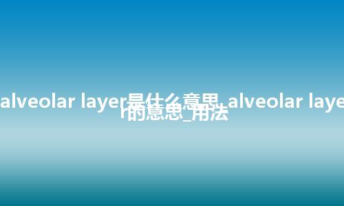 alveolar layer是什么意思_alveolar layer的意思_用法