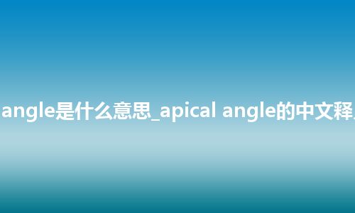 apical angle是什么意思_apical angle的中文释义_用法