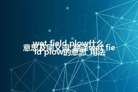 wet field plow什么意思及同义词_翻译wet field plow的意思_用法