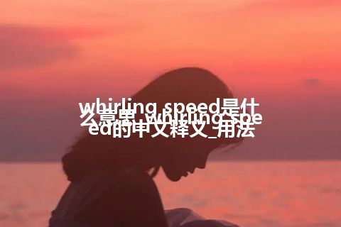 whirling speed是什么意思_whirling speed的中文释义_用法
