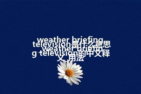 weather briefing television是什么意思_weather briefing television的中文释义_用法