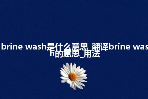 brine wash是什么意思_翻译brine wash的意思_用法