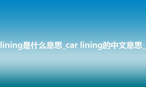 car lining是什么意思_car lining的中文意思_用法