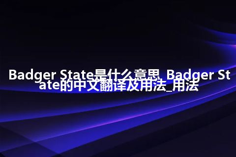 Badger State是什么意思_Badger State的中文翻译及用法_用法