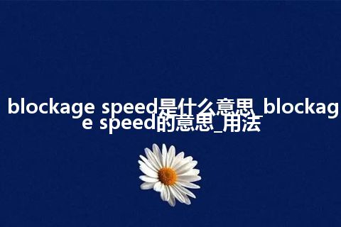 blockage speed是什么意思_blockage speed的意思_用法