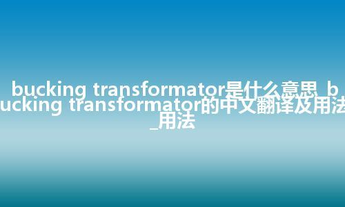 bucking transformator是什么意思_bucking transformator的中文翻译及用法_用法
