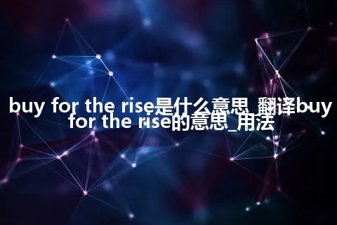 buy for the rise是什么意思_翻译buy for the rise的意思_用法
