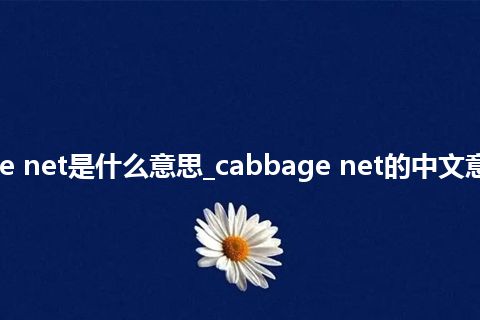 cabbage net是什么意思_cabbage net的中文意思_用法