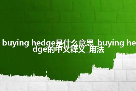 buying hedge是什么意思_buying hedge的中文释义_用法