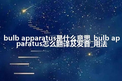 bulb apparatus是什么意思_bulb apparatus怎么翻译及发音_用法