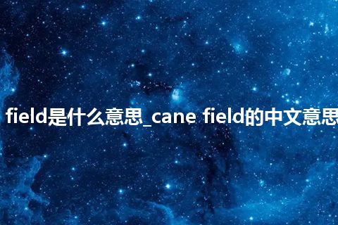 cane field是什么意思_cane field的中文意思_用法