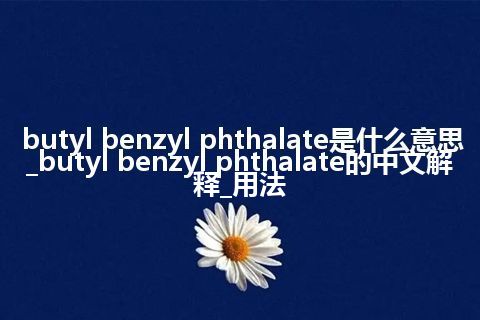 butyl benzyl phthalate是什么意思_butyl benzyl phthalate的中文解释_用法