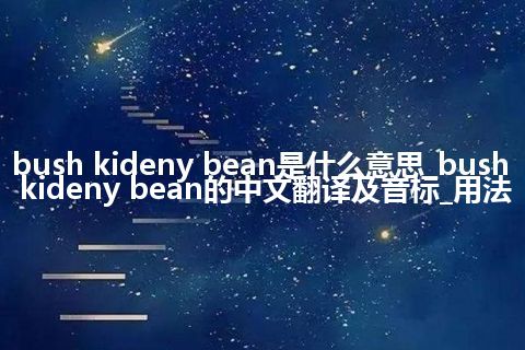 bush kideny bean是什么意思_bush kideny bean的中文翻译及音标_用法