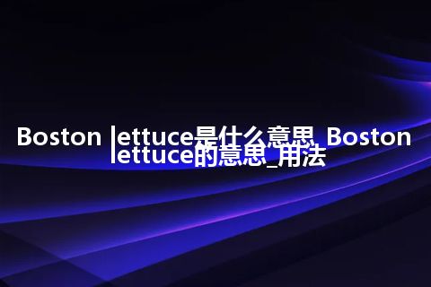 Boston lettuce是什么意思_Boston lettuce的意思_用法