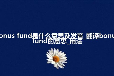 bonus fund是什么意思及发音_翻译bonus fund的意思_用法