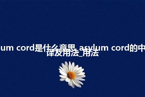 asylum cord是什么意思_asylum cord的中文翻译及用法_用法