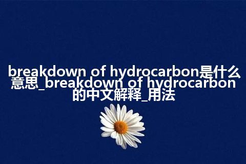 breakdown of hydrocarbon是什么意思_breakdown of hydrocarbon的中文解释_用法