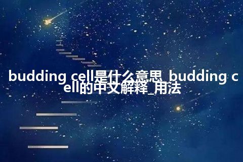 budding cell是什么意思_budding cell的中文解释_用法