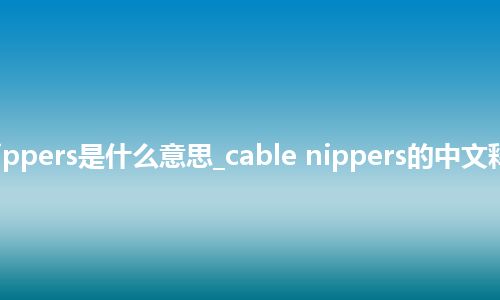 cable nippers是什么意思_cable nippers的中文释义_用法