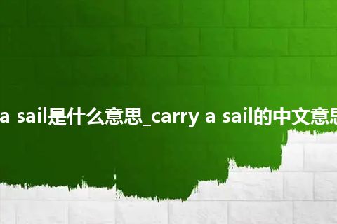 carry a sail是什么意思_carry a sail的中文意思_用法
