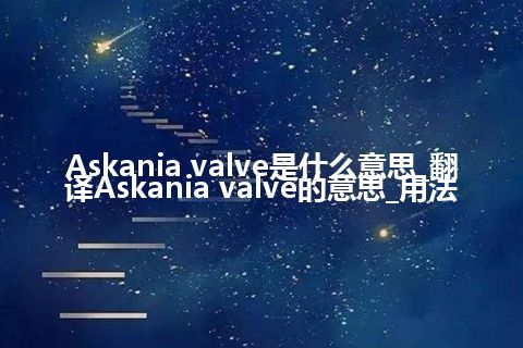 Askania valve是什么意思_翻译Askania valve的意思_用法