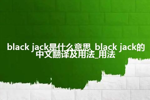 black jack是什么意思_black jack的中文翻译及用法_用法