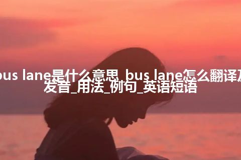 bus lane是什么意思_bus lane怎么翻译及发音_用法_例句_英语短语