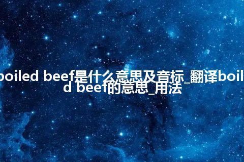 boiled beef是什么意思及音标_翻译boiled beef的意思_用法