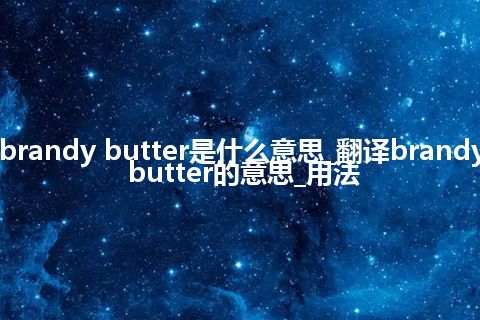 brandy butter是什么意思_翻译brandy butter的意思_用法